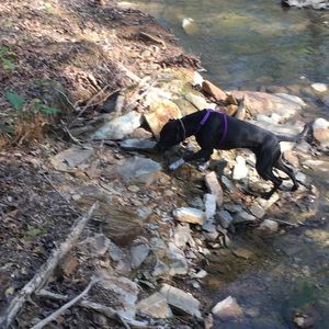 Meet your Posher, Alliallison